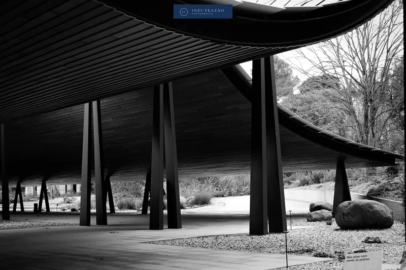 Cobertura ondulada de betão sustentada por pilares, a preto e branco, fotografia de arquitetura contemporânea por Inês Frazão.