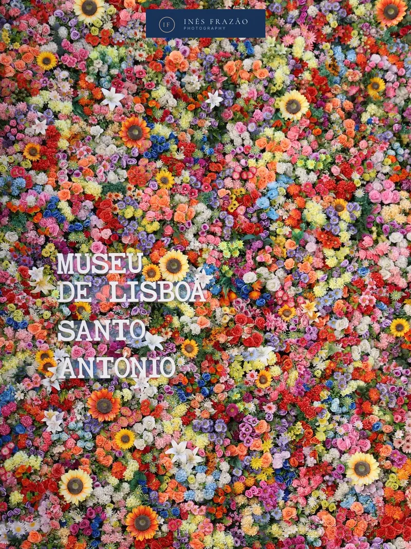 Parede coberta de flores coloridas com o nome do Museu de Lisboa – Santo António, fotografia de pormenor urbano por Inês Frazão.